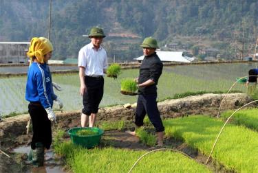 Lãnh đạo huyện Trạm Tấu thường xuyên bám sát cơ sở, nắm bắt tình hình sản xuất của nhân dân.