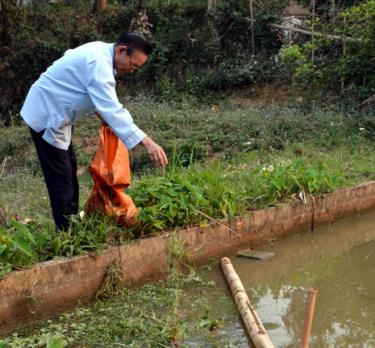 Cùng với tham gia công tác xã hội, ông Lò Minh Tâm luôn tích cực lao động, sản xuất để phát triển kinh tế gia đình.