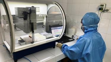 A health worker tests samples at the Disease Control Centre of Nghe An Province.