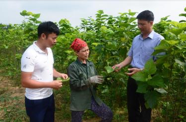 Lãnh đạo xã Xuân Ái thăm mô hình trồng dâu nuôi tằm của các hộ dân ở thôn Sông Hồng.