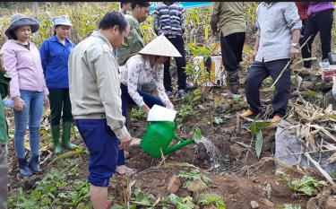 Người dân xã Suối Bu chuyển đổi những diện tích kém hiệu quả sang trồng na cho giá trị kinh tế cao.