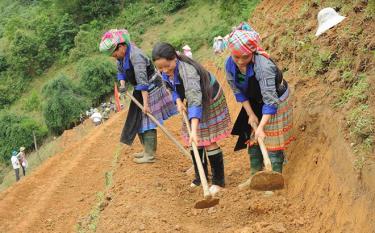 Nhân dân xã Cao Phạ khai hoang ruộng bậc thang canh tác lúa nước.