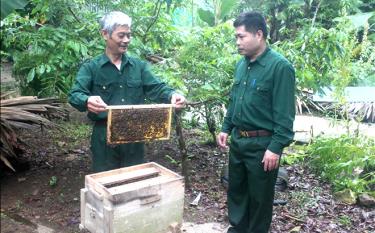 Cựu chiến binh Nguyễn Chí Long, thôn Cẩu Vè, xã Tân Lĩnh (bên trái), phát triển nuôi ong, thu nhập trên 70 triệu đồng/năm.