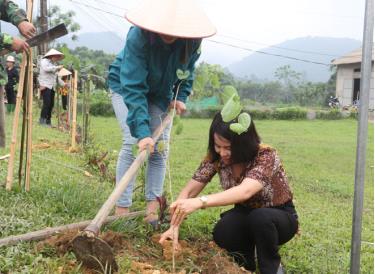 Bà Bồ Thị Hoa - Chủ tịch Hội LHPN huyện Trấn Yên tham gia trồng hoa ban cùng hội viên phụ nữ và người dân xã Việt Cường.