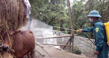 Lực lượng chức năng trực tuyến m88 Nghệ An phun thuốc tiêu trùng khử độc chuồng nuôi gia súc của một hộ dân trên địa bàn.