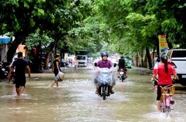 Tuyến đường Hoàng Hoa Thám, thành phố Yên Bái nước ngập úng cục bộ hồi tháng 8 năm 2020. Ảnh minh họa