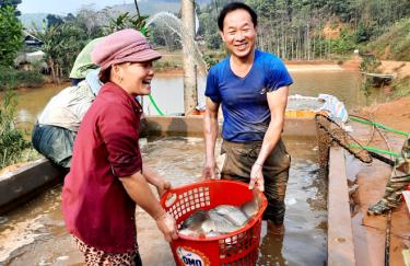 Cựu chiến binh Đàm Văn Lạnh cùng gia đình thu hoạch cá thương phẩm.