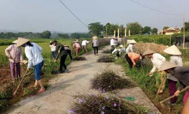 Hội viên nông dân xã Báo Đáp tham gia trồng hoa trên tuyến đường liên thôn.