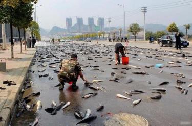 Các nhà khoa học vẫn đang cố gắng làm sáng tỏ bí ẩn này để đưa ra lời giải thích hợp lý.