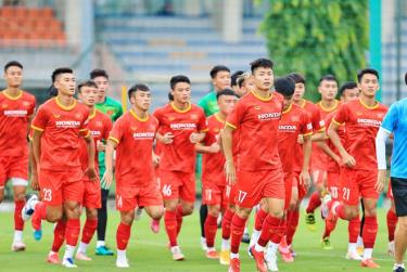 Tuyển U23 Việt Nam tham dự SEA Games 31 sẽ là các cầu thủ xuất sắc nhất trong lứa tuổi, dưới sự dẫn dắt của HLV Park Hang-seo.