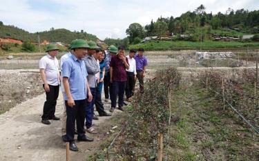 Lãnh đạo huyện Mù Cang Chải kiểm tra mô hình trồng hoa của Hợp tác xã Hoa hồng Nậm Khắt.