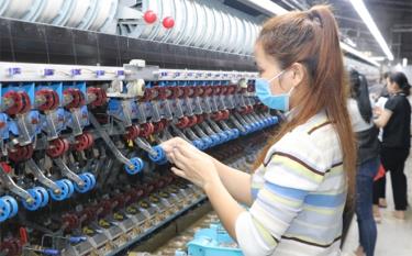 Công nhân Nhà máy chế biến kén tằm của Công ty Dâu tằm tơ Yên Bái trong giờ làm việc.