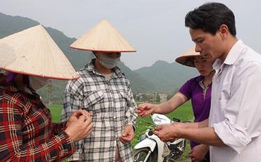 Cán bộ khuyến nông huyện Lục Yên hướng dẫn nông dân cách nhận biết các loại sâu, bệnh hại lúa.