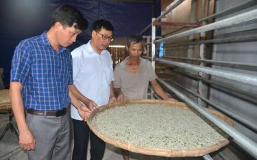 Lãnh đạo xã Tân Đồng thăm mô hình trồng dâu nuôi tằm của gia đình anh Tạ Văn Mạnh ở thôn Sài Lương.
