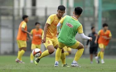 U22 Việt Nam sẽ tập luyện tại Bà Rịa-Vũng Tàu trước khi tham dự SEA Games 32.