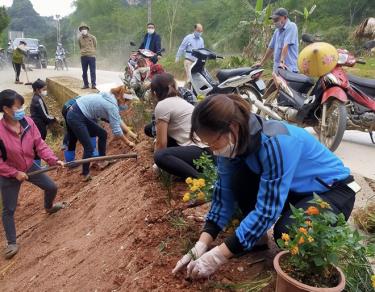 Hội viên phụ nữ xã Liễu Đô trồng mới các tuyến đường hoa.