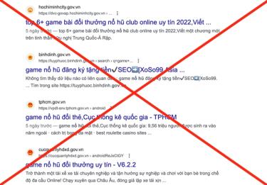Một số website có đuôi tên miền 