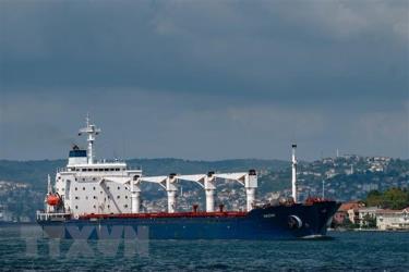 Tàu chở ngũ cốc di chuyển dọc Eo biển Bosphorus tại Istanbul, Thổ Nhĩ Kỳ, ngày 3/8/2022.