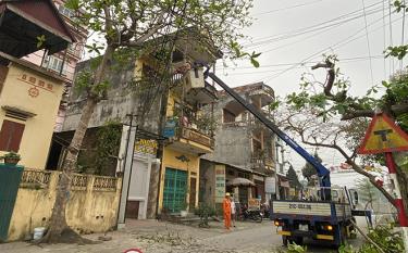 Điện lực thành phố Yên Bái giải phóng hành lang lưới điện, giảm thiểu tối đa các vụ sự cố trong mùa mưa bão.