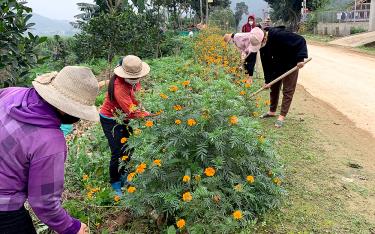 Hội viên phụ nữ Chi hội Trung Tâm vệ sinh tuyến đường tự quản góp phần xây dựng cảnh quan môi trường xanh, sạch đẹp.