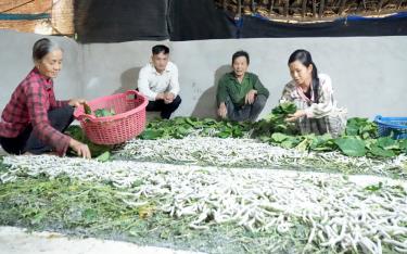 Ông Cháng A Sai, Chủ tịch Ủy ban MTTQ xã Hồng Ca, huyện Trấn Yên thăm mô hình nuôi tằm của hộ nghèo trên địa bàn.