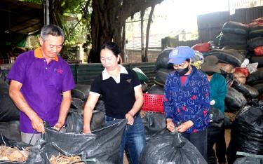 Vợ chồng chị Trần Thị Huân kiểm tra việc đóng gói sản phẩm quế tại xưởng.