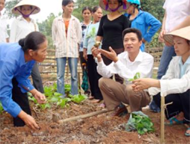 Cán bộ kỹ thuật hướng dẫn cách trồng rau tại xã Bảo Ái huyện Yên Bình.