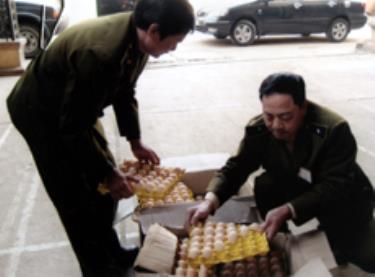Trứng gà Trung Quốc nhập lậu được đem đi tiêu hủy.