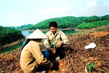 Anh Phương trồng rừng vụ xuân.

