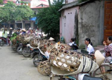 Gia cầm vẫn được bán tự do trên các chợ ở Yên Bái. (Ảnh: Thanh Phúc)