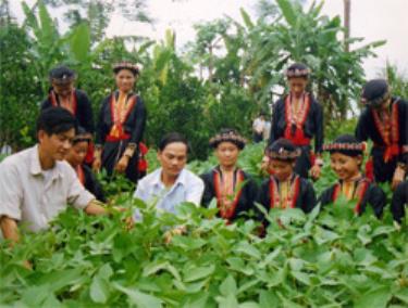 Việc chuyển giao kỹ thuật được coi là chìa khoá để phụ nữ vùng cao xoá đói giảm nghèo.