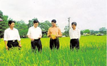 Đồng chí Hoàng Xuân Lộc (thứ 2, phải sang) cùng lãnh đạo thị xã Nghĩa Lộ thăm mô hình lúa lai, phân viên dúi sâu tại xã Nghĩa Phúc.

