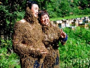 Vợ chồng Li trong trang phục cưới làm từ các chú ong.