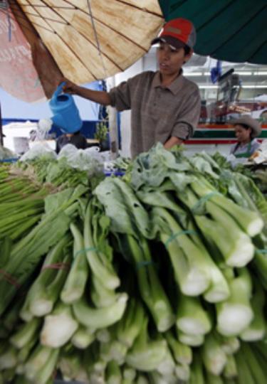 Nongnuch Thansoongnern, 38 tuổi, hiện phải bán rau để kiếm sống qua ngày. Cô đã làm công nhân 11 năm cho Công ty dệt Wa Thai (Thái Lan).