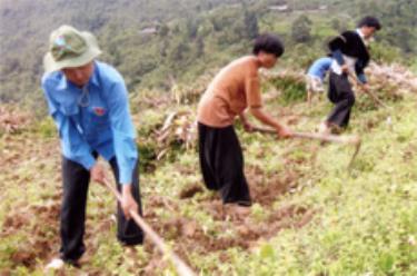 Đoàn viên thanh niên huyện Trạm Tấu giúp bà con làm đất trồng ngô.