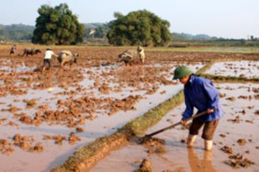 Lực lượng dân quân tự vệ làm nòng cốt trong việc khắc phục hậu quả thiên tai.