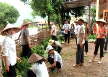 Nhân dân thị trấn Nông trường Liên Sơn (Văn Chấn) nhận chè giống.
