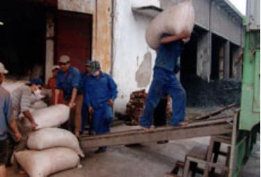 Công nhân Công ty cổ phần Chè Trần Phú bốc xếp chè thành phẩm đưa đi xuất khẩu.

