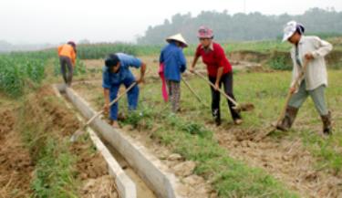 Nông dân xã Báo Báo (Trấn Yên) tiến hành kiên cố hoá kênh mương nội đồng.