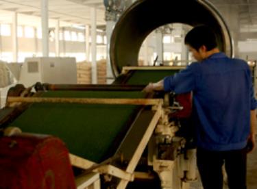 Nguồn vốn vay đã giúp Công ty CP chè Văn Hưng vượt qua khó khăn, phát triển sản xuất.