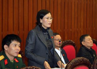 Đại biểu Quốc hội thảo luận tại kỳ họp thứ 6 cuối năm 2009.
