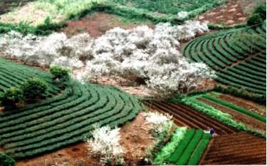 Tôi như bị hút vào giữa cái mênh mông, trùng trùng điệp điệp dafabet dang nhap núi rừng.