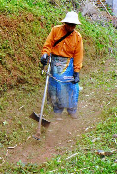 Với việc thay thế lưỡi cắt cỏ bằng dây cước, việc phát cỏ bảo dưỡng đường đảm bảo vừa nhanh vừa sạch.
