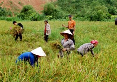 Cần thực hiện “xanh nhà hơn già đồng