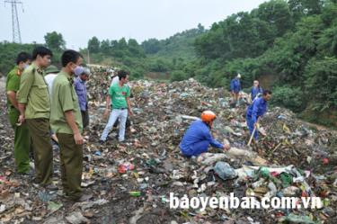 Các lực lượng chức năng tiến hành tiêu hủy số gia cầm giống không rõ nguồn gốc.