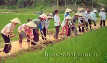 Người dân xã Ngọc Chấn (huyện Yên Bình) làm đường giao thông nông thôn.
