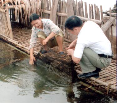 Thủy sản là một trong những nội dung điều tra thu thập thông tin.