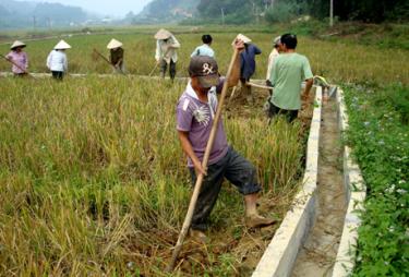 Tiêu chí Thủy lợi trong xây dựng nông thôn mới được người dân tích cực tham gia. Ảnh MQ