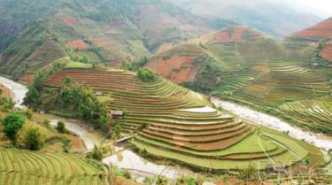 Ruộng bậc thang Mù Cang Chải.