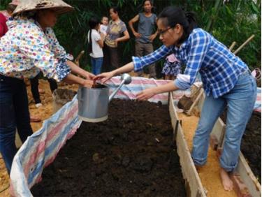 Cán bộ Trung tâm Nghiên cứu Nông nghiệp Nhiệt đới quốc tếCIAT hướng dân người dân nuôi giun quế.